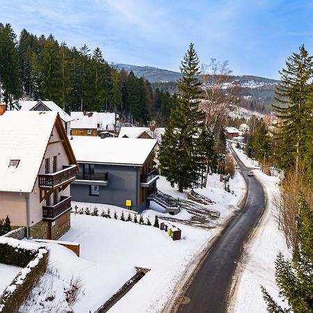 Wonder Home - Villa Vika Z Ogrodem, Z Miejscem Na Grilla I Ognisko 卡尔帕奇 外观 照片